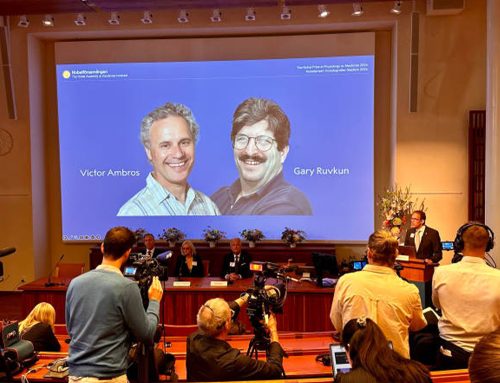 Prix Nobel de médecine 2024 en génétique moléculaire